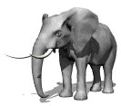 elefant imatges-animades-gif